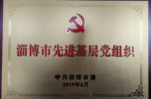 2019年淄博市先進(jìn)基層黨組織